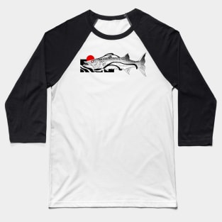Barracuda Baseball T-Shirt